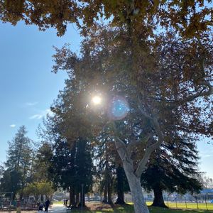 如何弥补不合的三观真是一个难题