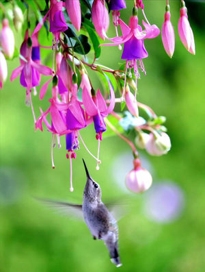 好好说话，是在为自己铺路搭桥