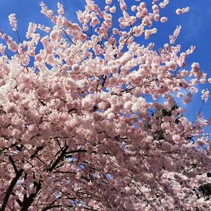 “推娃”的背后，家长的差别