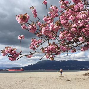 2020年的春风不再来，移民需谨慎，且行且珍惜