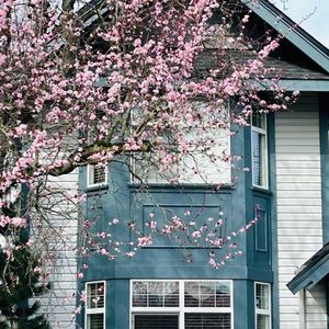 想了十年的温哥华走街终于实现啦