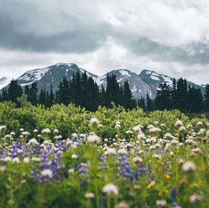 加拿大老人的退休生活