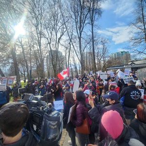 加拿大的“圈子文化”来了解一下