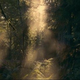 移民家庭为何不能放弃中文和华夏文化教育