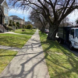 文化认同像吃自助餐，满桌子菜总能选些适口的，千万别因为抱怨而饿肚子