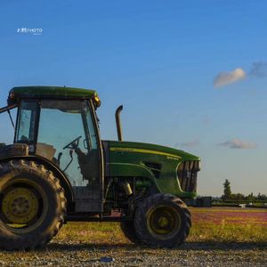 移民搬家纪念日杂感