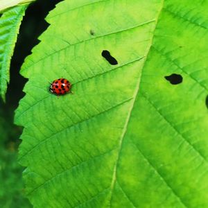 孩子没有考上天才班，是谁的错？