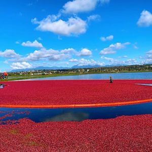 海运搬家和白手起家
