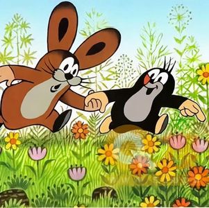 当我在户外跑步时，我在想什么