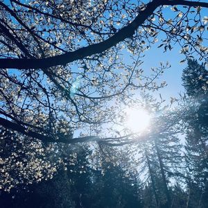 人生的梦想要自己实现，努力和辛劳无法逃避