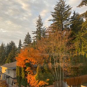 来加拿大读11年级是否容易申请到美国大学？