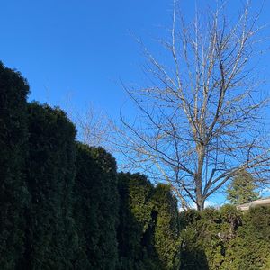 全职妈妈太焦虑，怎么破？