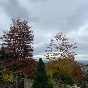 我的加拿大移民生活06