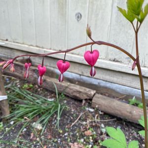 与其规划孩子，不如规划自己