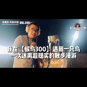 我在【候鸟300】遇到一只鸟——一次迷离超现实的散步漫游 - 096