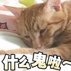 和观众聊聊天EP03|生活中的恶臭现象