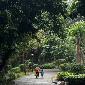 睡前夜话｜回家，柔软，做回孩子