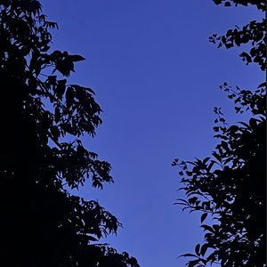 sp07｜是啊，成年以后，父母成了我们永恒的话题