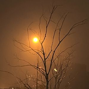 鸡公鸡婆EP09｜就算弄懂了鸡的财富，我们也不懂爱情