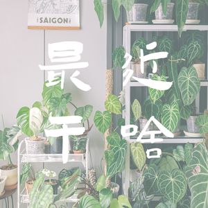 补更6-10月:夏天又稀里糊涂地结束了