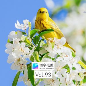 Stop!我对伤感过敏