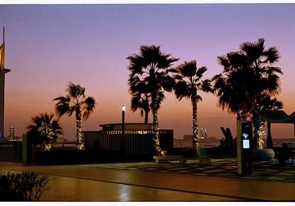 丑陋的女人和打电话的男人 NJ梓薇