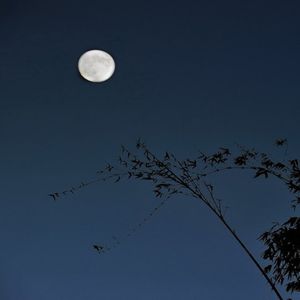 月夜忆祖母 NJ易安