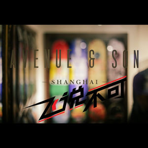 飞说不可17 - 大道之子养成记