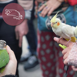 白烟笼罩Mixtape分岔的花园