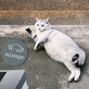 春风被Mixtape撞了下腰，拔腿往山上跑