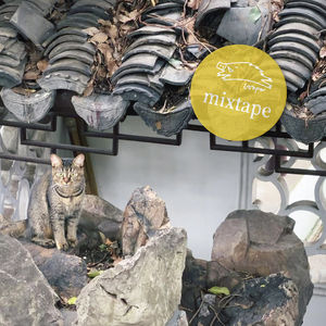悬在气球上的Mixtape飞向双子塔