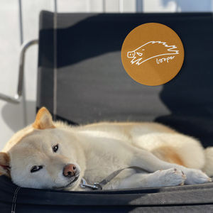 Marvin Gaye的如歌往事，一段逝去的摩城传奇