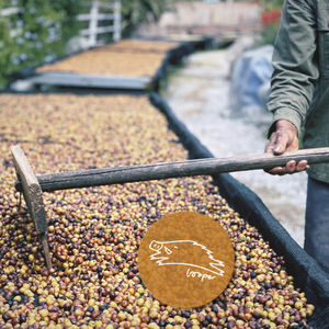 你在烦恼些什么呢？亲爱的Kurt Cobain