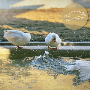 三兄弟挤在一张床上召唤音乐启蒙