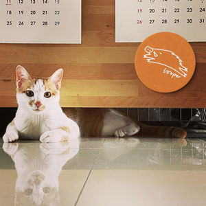 许鞍华卧谈会Part2,上班也摸鱼,新浪潮的划水怪