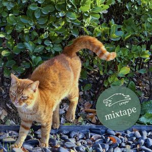 手捧小金人的Mixtape飞驰天文台