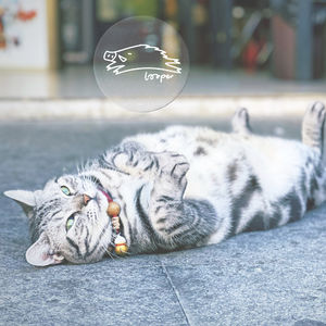 想象三体，重启小宇宙