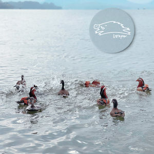 年度心水50张，漫游2023私房歌