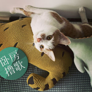 张洪量卧谈会，事业或爱情，当然是爱情啊