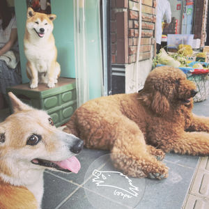 星爵的耳机分你一半，怀旧金曲发射中