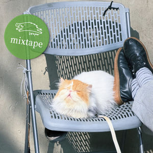 春雨乒乒乓乓打落在Mixtape的额头上