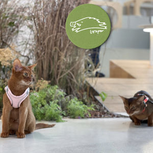 春夜Mixtape打冷，鲜掉了武士的眉毛