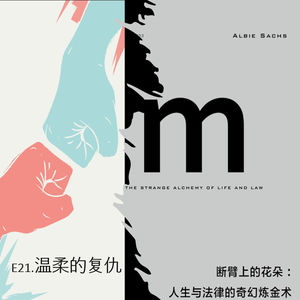 E21 温柔的复仇｜《断臂上的花朵》