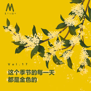 Vol.017：这个季节的每一天都是金色的