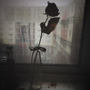 #12. 张吉米×林翠西：剧场作为一种介入