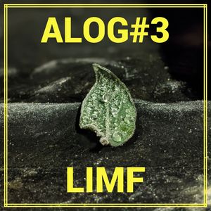 小明Alog#3: 如果在冬夜,看伦敦国际默剧节(LIMF)