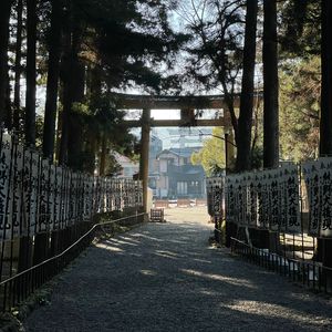 冲锋衣丢了怎么办？｜熊野古道徒步日志Vol.3