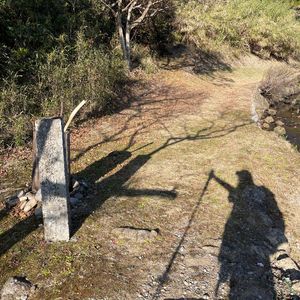 瘸腿走高野坂路线，也很值得，新年快乐！｜熊野古道徒步日志Vol.5
