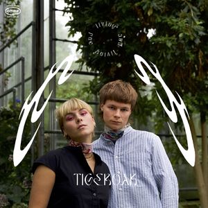 丹麦电子爵士二人组Tigeroak