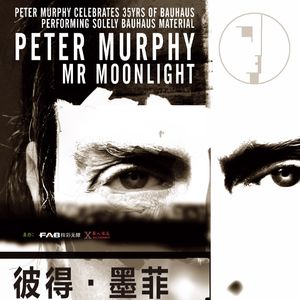 【我的音乐生活】哥特教父：Peter Murphy